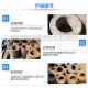 防水翼環(huán)使用廣泛，那么你知道防水翼環(huán)的設(shè)計(jì)理念和特點(diǎn)嗎？